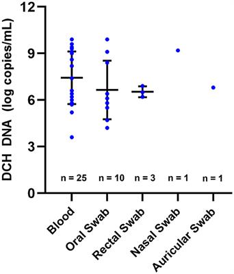 Quantification of domestic cat hepadnavirus DNA in various body fluid specimens of cats: the potential viral shedding routes